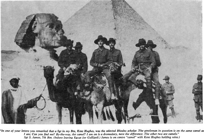 “In one of your letters you remarked that a Sgt in my Btn, Kent Hughes, was the selected Rhodes scholar. The gentleman in question is the same camel as I am; Can you find me? By the way, the camel? I am on is a dromedary, note the difference. The other two are camels.” Stgt S. James, 7th Btn. (Before leaving Egypt for Gallipoli. James is on centre ‘camel’ with Kent Hughes holding reins.) [photograph]