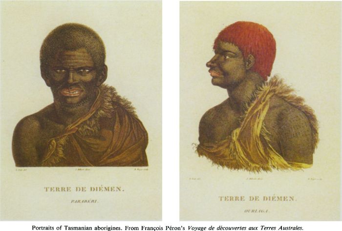 Portrait of Tasmanian aborigine. From François Péron’s Voyage de découvertes aux Terres Australes. Terre de Diémen. Paraberi.  [engraving]