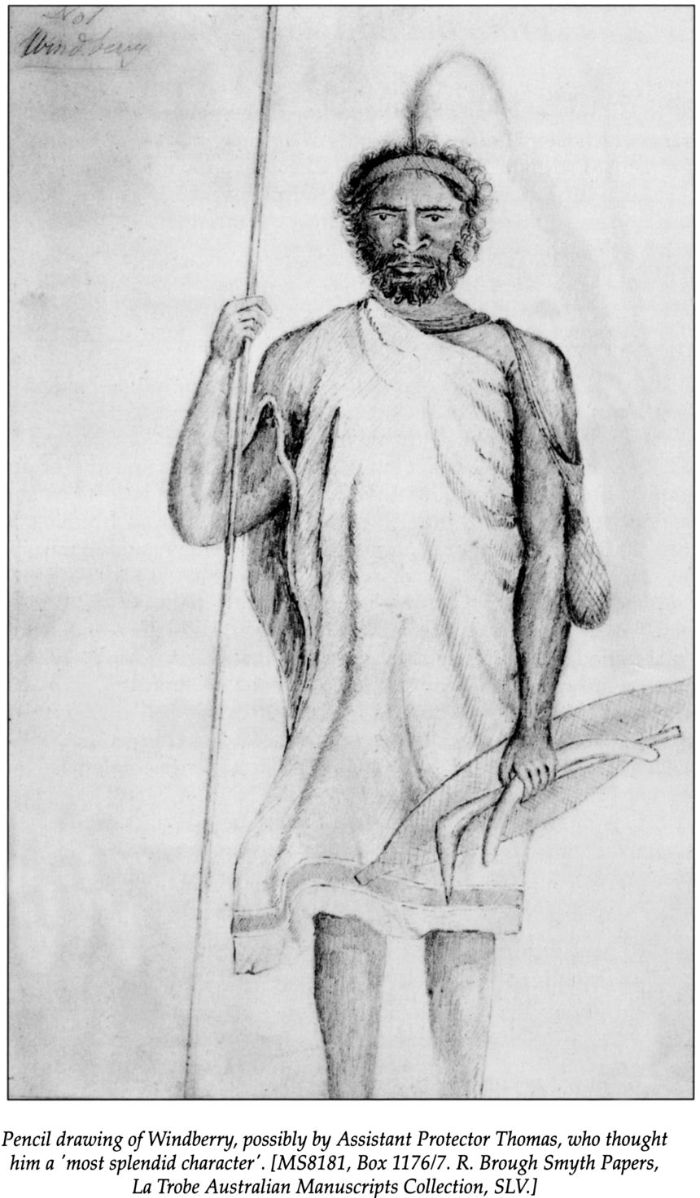 Pencil drawing of Windberry, possibly by Assistant Protector Thomas, who thought him a ‘most splendid character’. [MS8181, Box 1176/7. R. Brough Smyth Papers, La Trobe Australian Manuscripts Collection, SLV.] [drawing]