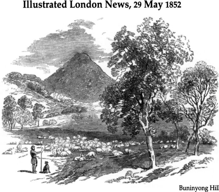 Buninyong Hill, Gold in Australia, Illustrated London News, 29 May 1852, p.429? [engraving]