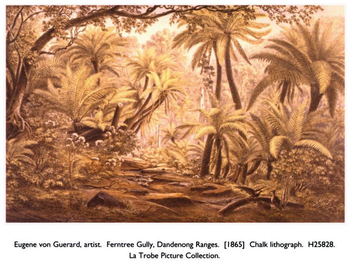 Eugene von Guerard, artist. Ferntree Gully, Dandenong Ranges. [1865] Chalk lithograph. H25828. La Trobe Picture Collection. [lithograph]
