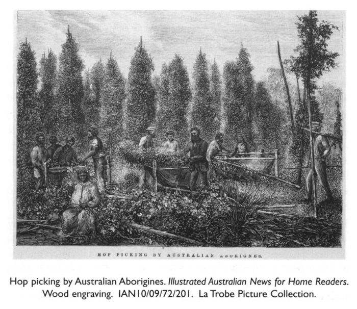 Hop picking by Australian Aborigines. Illustrated Australian News for Home Readers. Wood engraving. IAN 10/09/72/201. La Trobe Picture Collection.